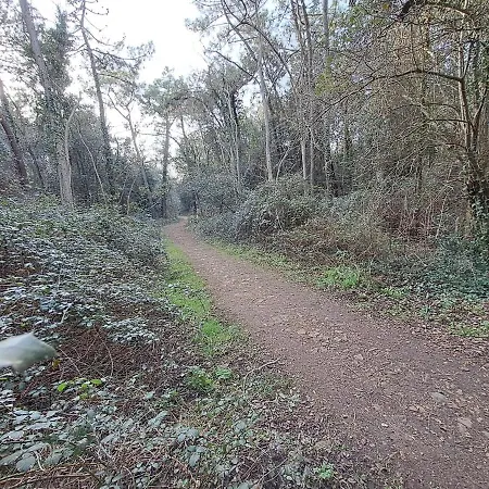 Marion I 8 Couchages I Plage, Foret & Marais A Pied