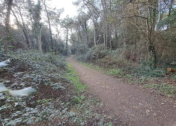 Marion I 8 Couchages I Plage, Foret & Marais A Pied